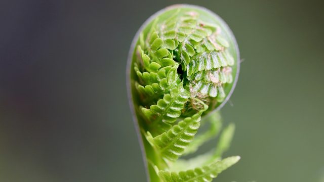 专题封面图，多语言词条卡片呈扇形展开，卡片边缘带细描边，背景为深色网格纹理